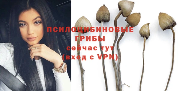 MDMA Premium VHQ Карталы