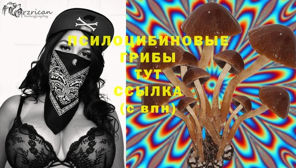 MDMA Premium VHQ Карталы